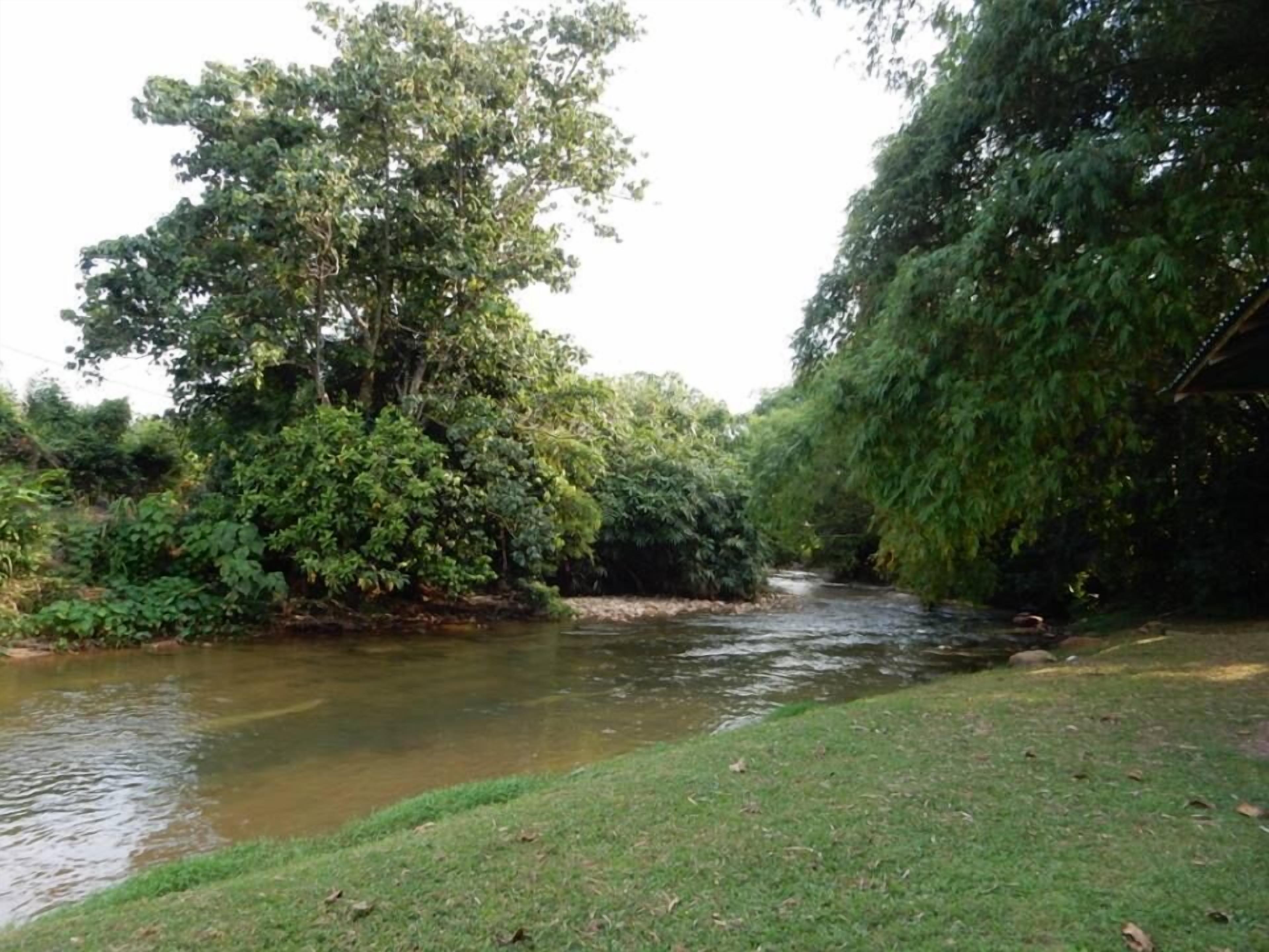 Un río serpenteando por un paisaje exuberante y verde, con vegetación densa a ambos lados.