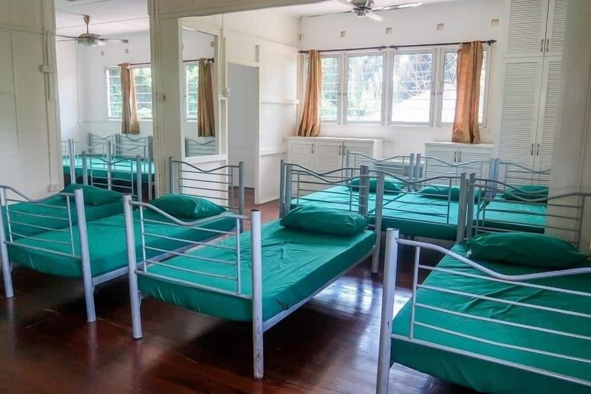 Comfort Shared Dormitory, Multiple Beds