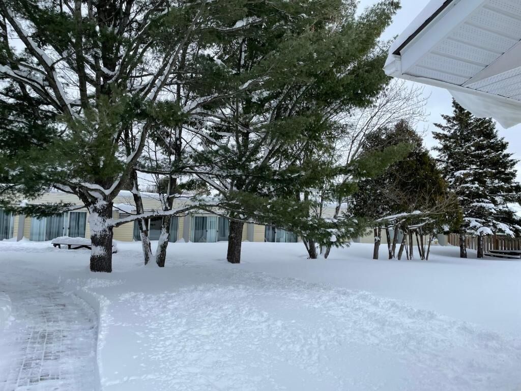 A snow-covered residential area with trees and a house.