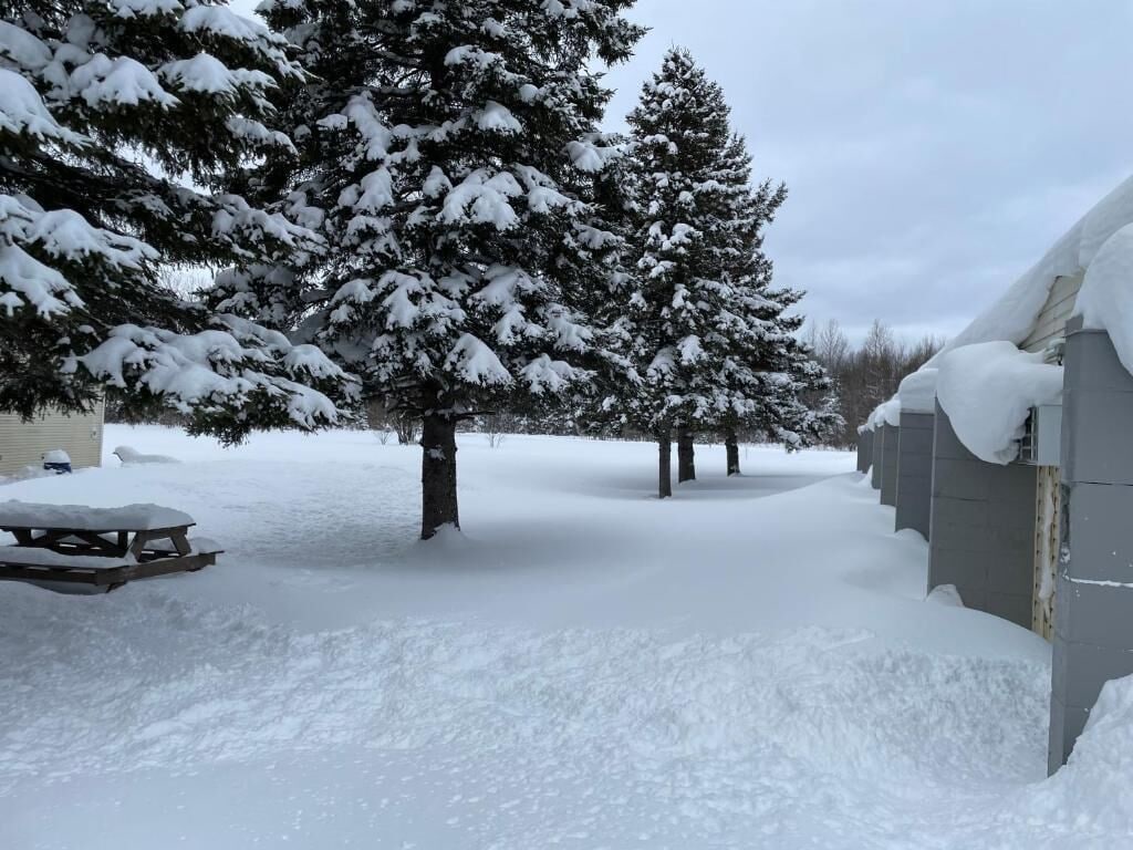 A snow-covered outdoor area with a picnic table and snow-laden trees.