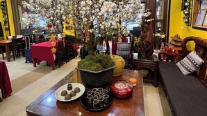 A room with a wooden coffee table, a sofa, and a decorative tree. - Sapa Lake View Hotel (Sa Pa)