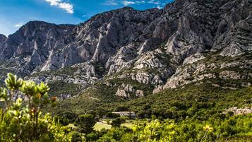 Un paisaje montañoso con terreno rocoso y vegetación.