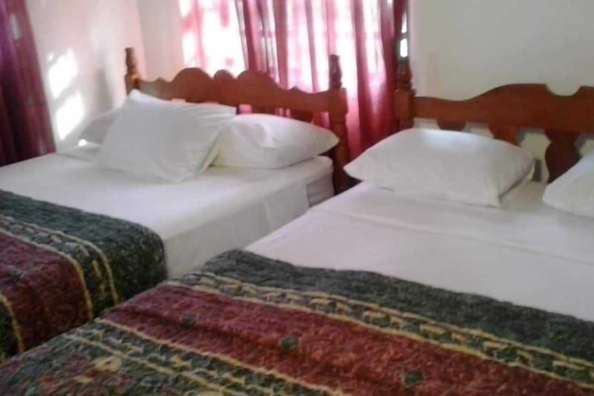 A room with two single beds, each with white linens and a wooden headboard.