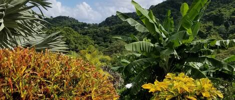 Camera doppia | Vista giardino