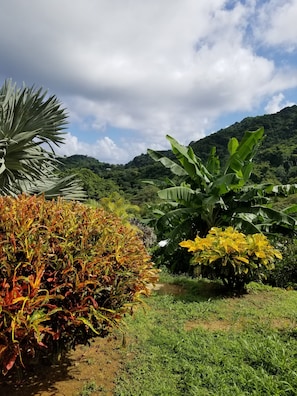 Double Room | Garden view - Top Ranking Guesthouse (Speyside)