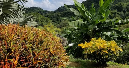 Top Ranking Guesthouse