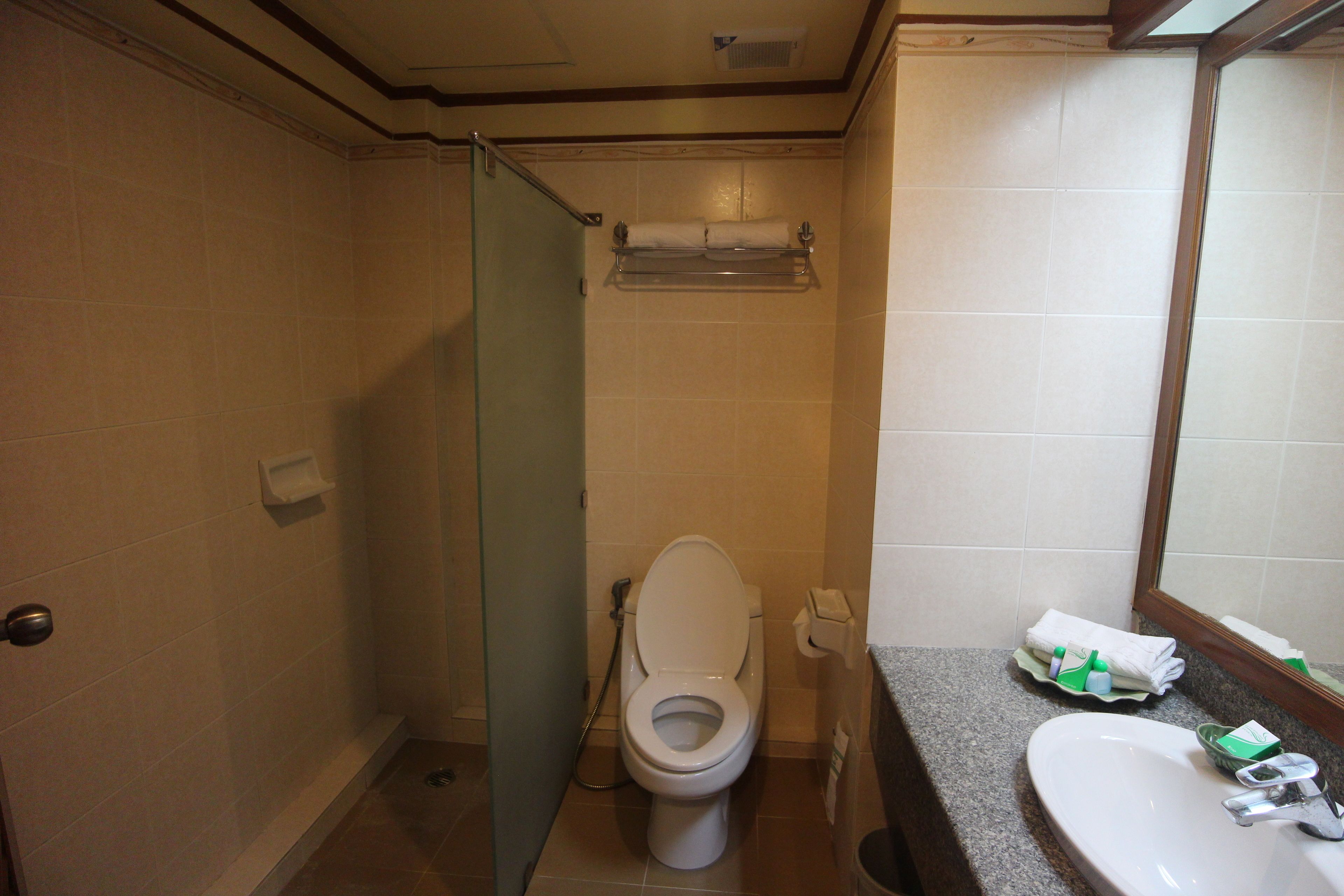 shower, free toiletries, hair dryer, towels