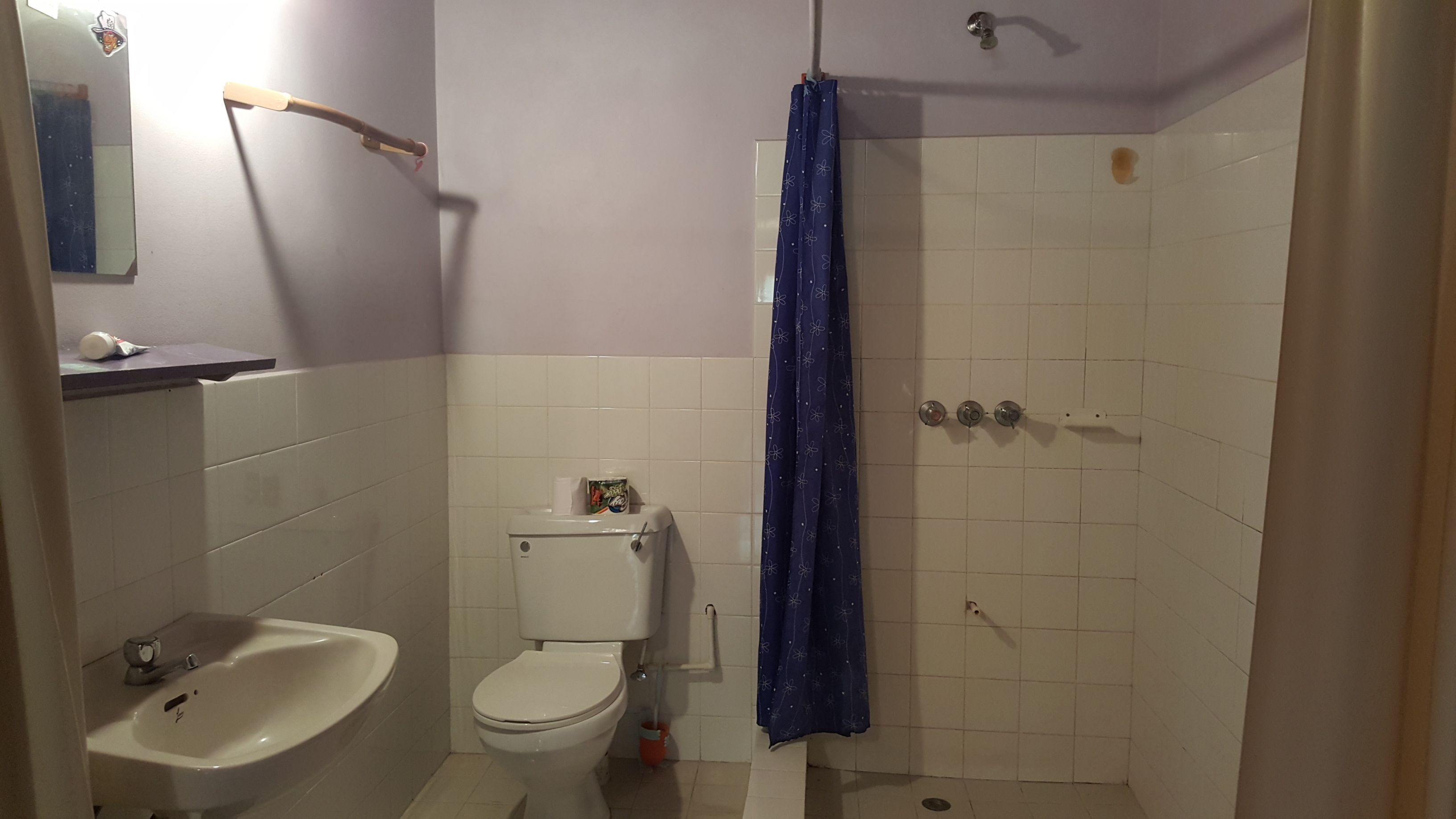 A bathroom with a toilet, sink, and shower.