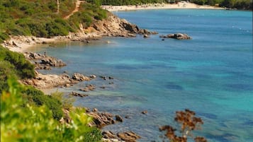 Pantai di sekitar dan pasir putih