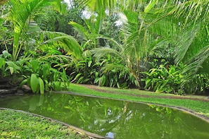 Tuin