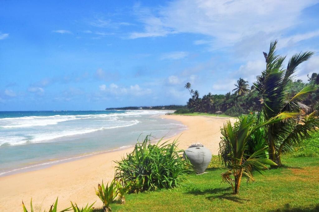 Uma praia com águas azul-claras, areia dourada e vegetação exuberante.