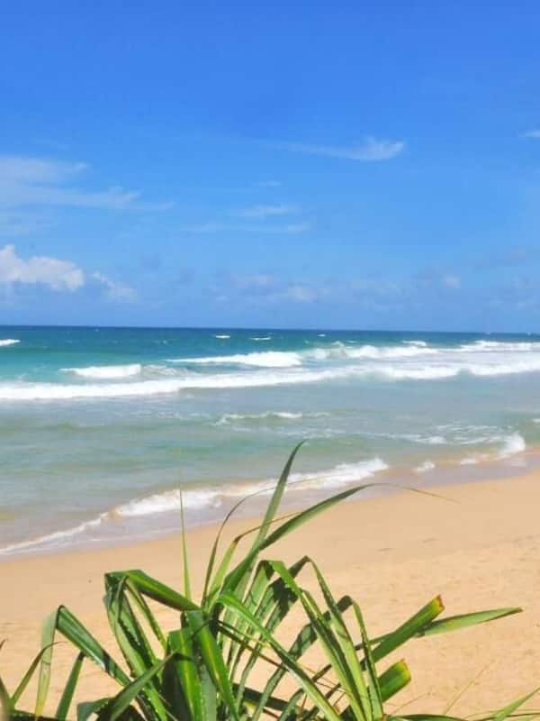 位於海灘上