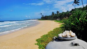 Una playa con vista despejada al océano, una orilla arenosa y algo de vegetación.