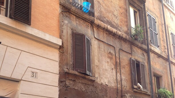 Imagen sin descripción, 1 de 21, botón