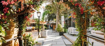 American Beech Hotel