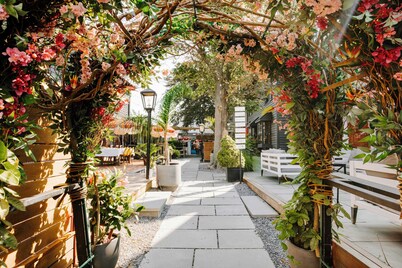 American Beech Hotel