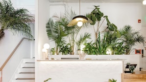 A reception desk with a white backdrop, surrounded by various plants and a modern pendant light. - American Beech Hotel (Greenport)