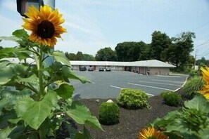 Property grounds - Clinton Motel (Clinton)