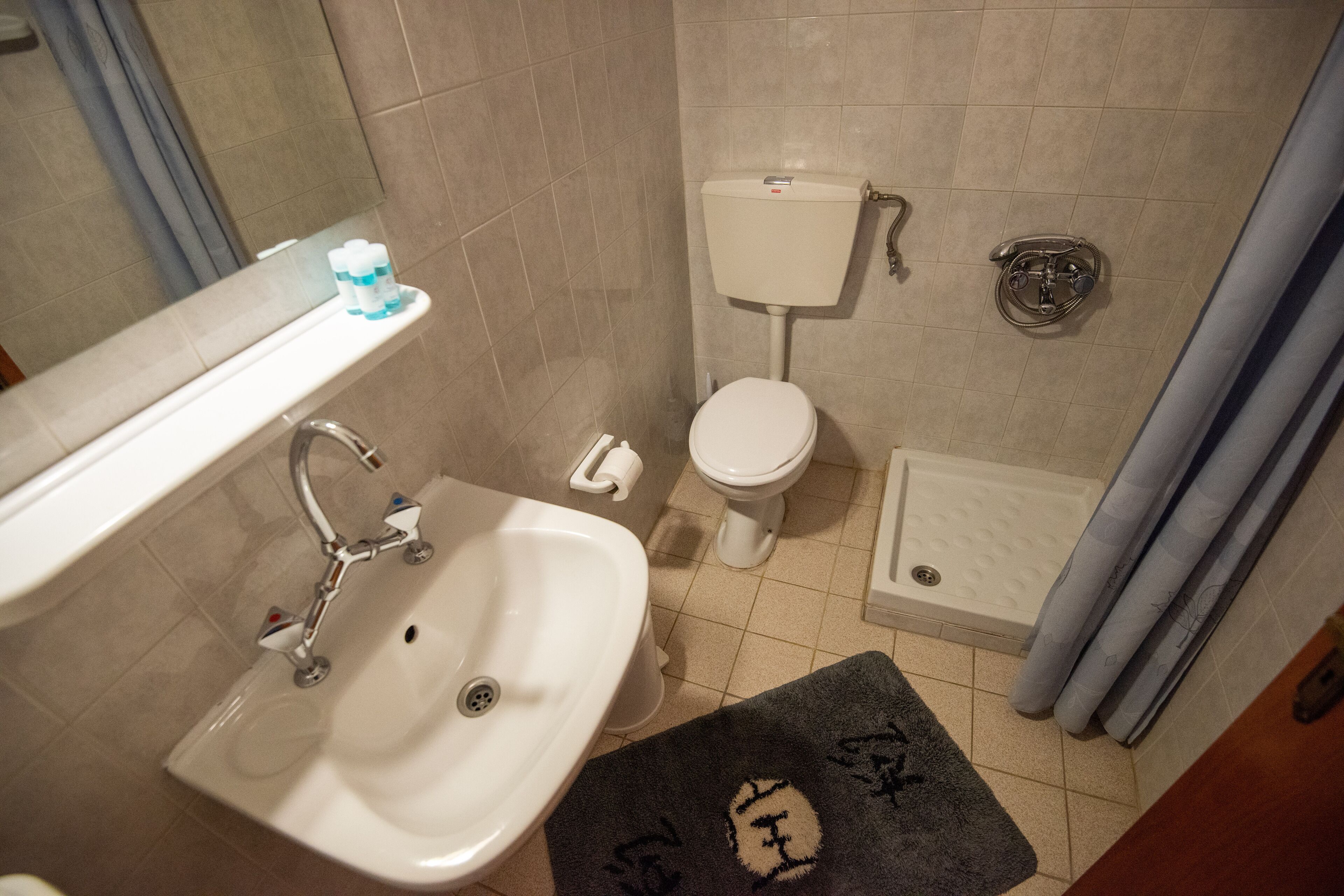 Un baño con lavamanos, inodoro y ducha.