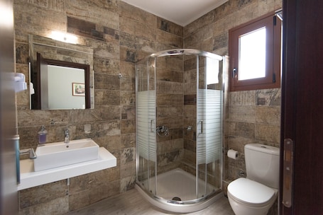 Shower, free toiletries, hair dryer, towels. Domus Inn