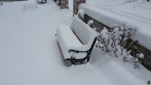 A snow-covered bench and plants in a snowy outdoor area. - Domus Inn (Ioannina)
