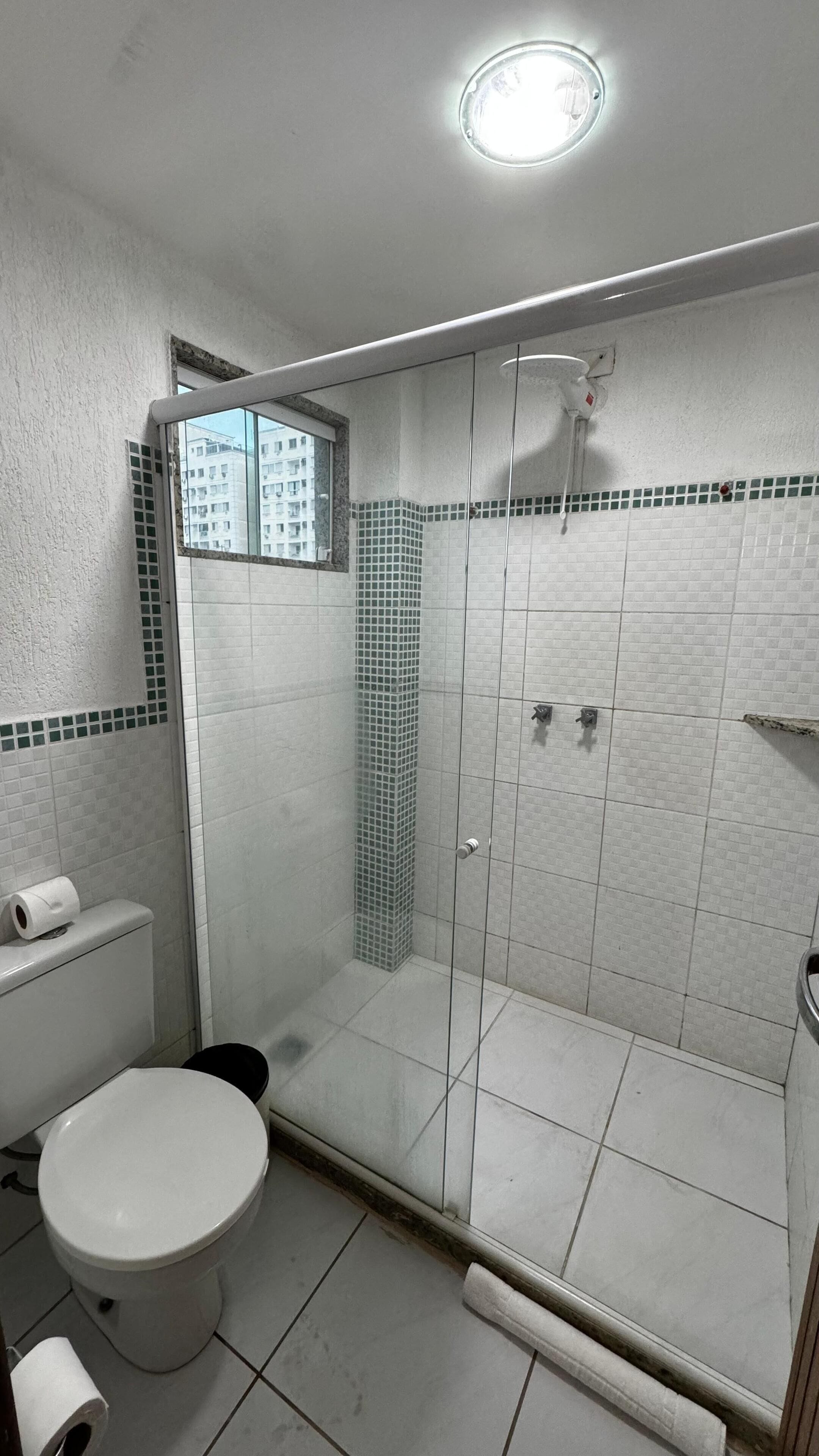 A bathroom with a toilet, a shower, and a window.