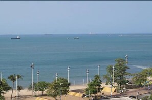 Vista desde la propiedad