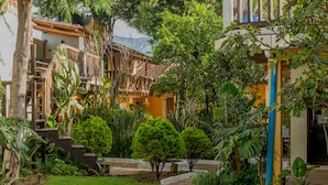 A courtyard with a stone pathway, surrounded by lush greenery and a variety of plants.