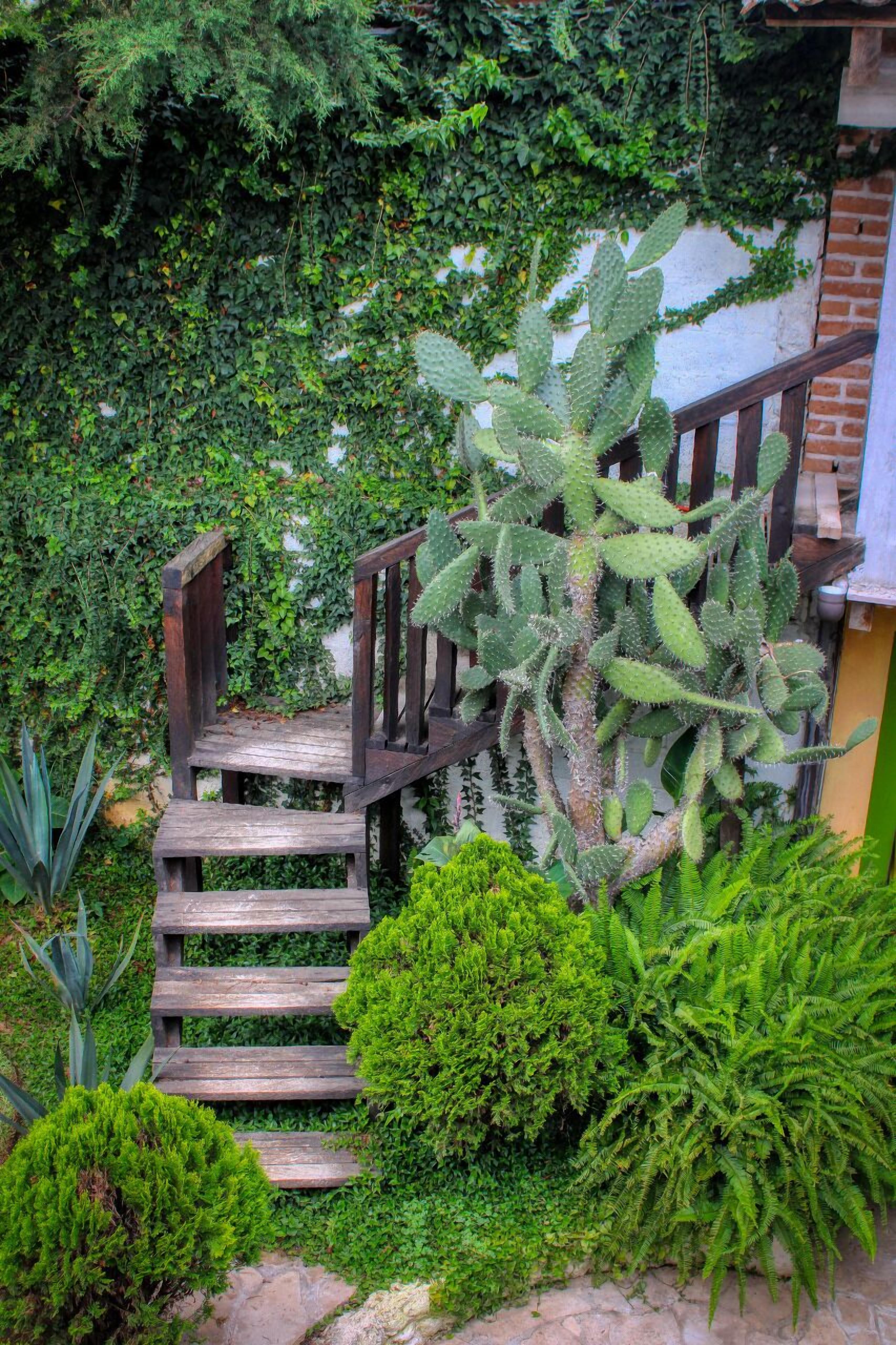 Foto - Rossco Hostel