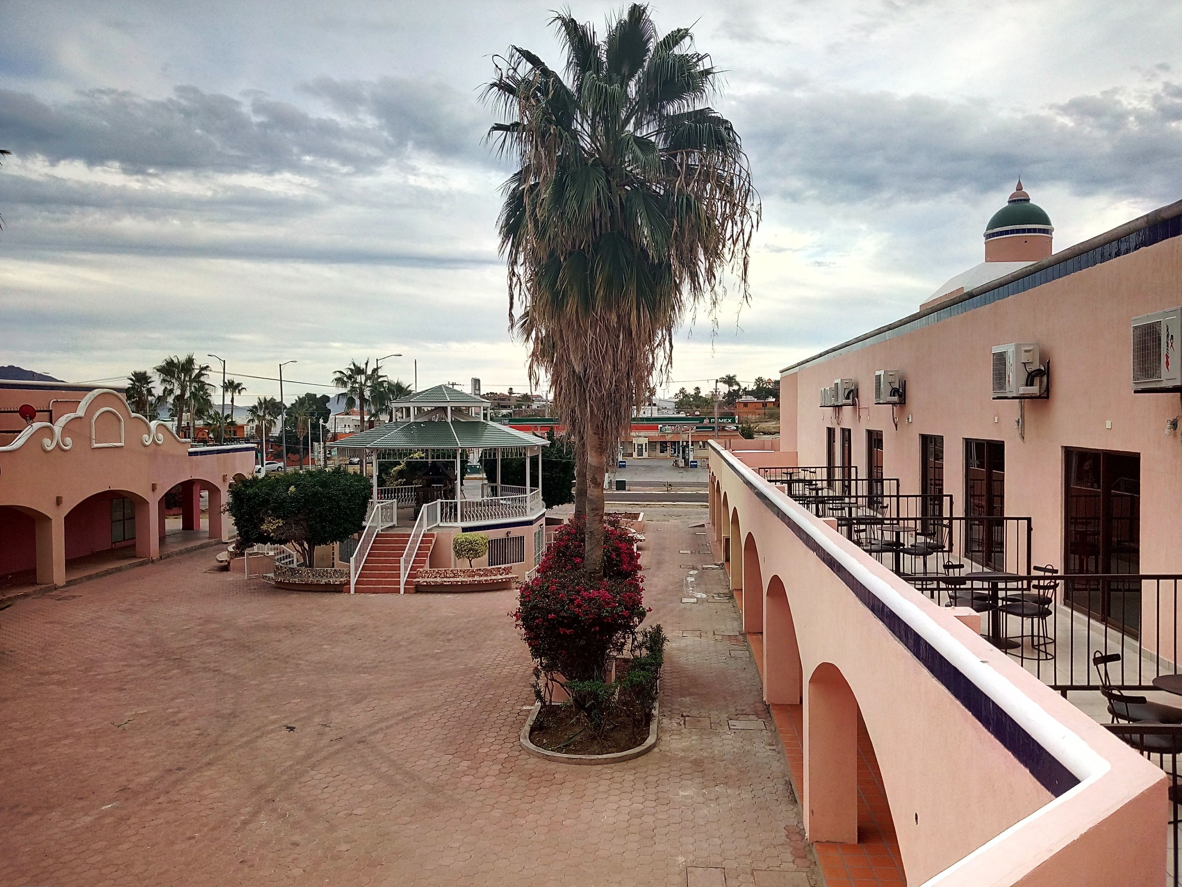 Un patio con una palmera, un pabellón y un edificio con unidades de aire acondicionado.