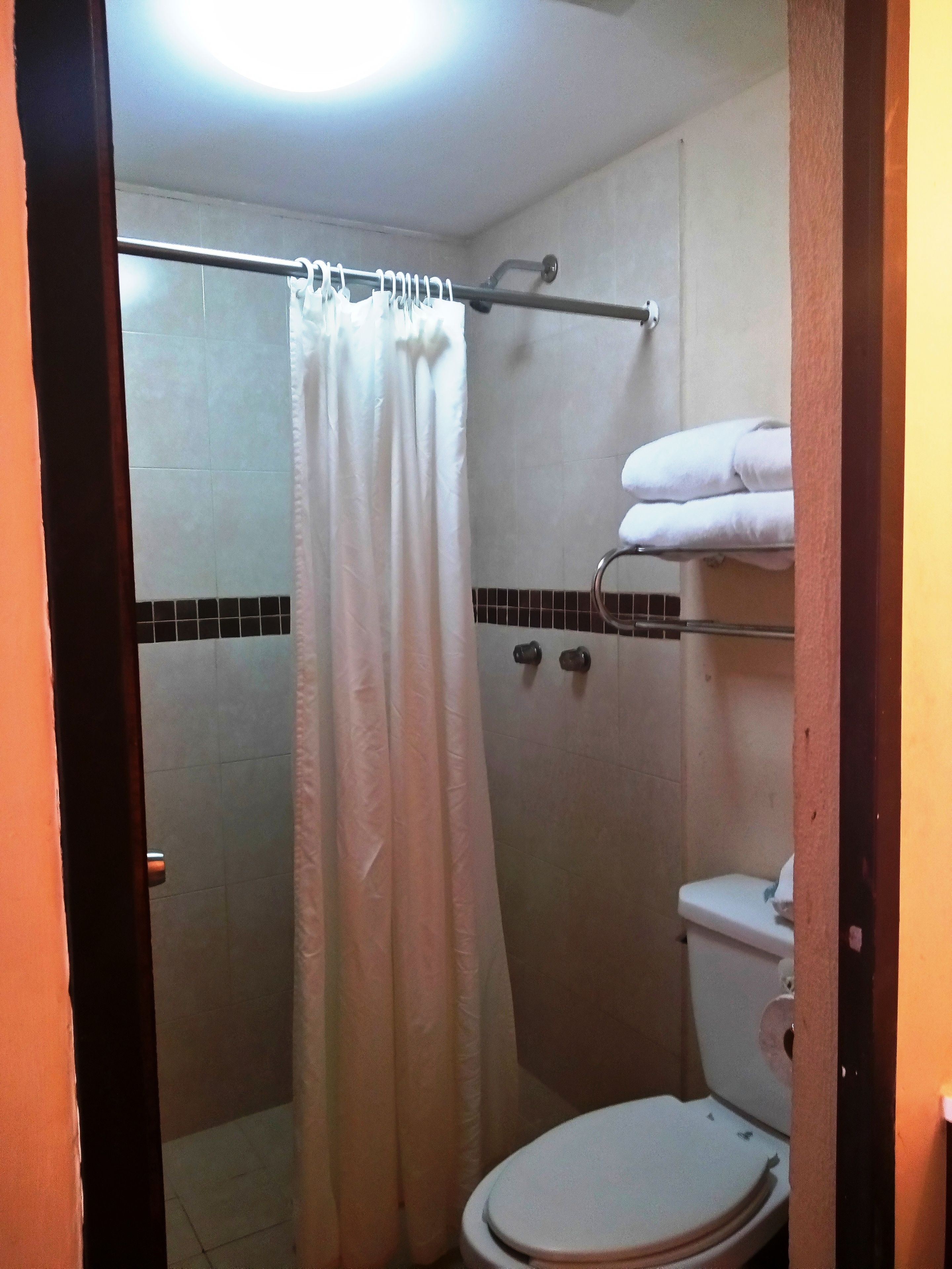 Un baño con cortina de ducha, inodoro y toallero.