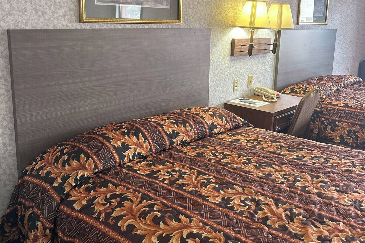 A hotel room with a large bed, a nightstand, a lamp, and a framed picture on the wall.