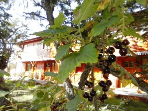 Esterni