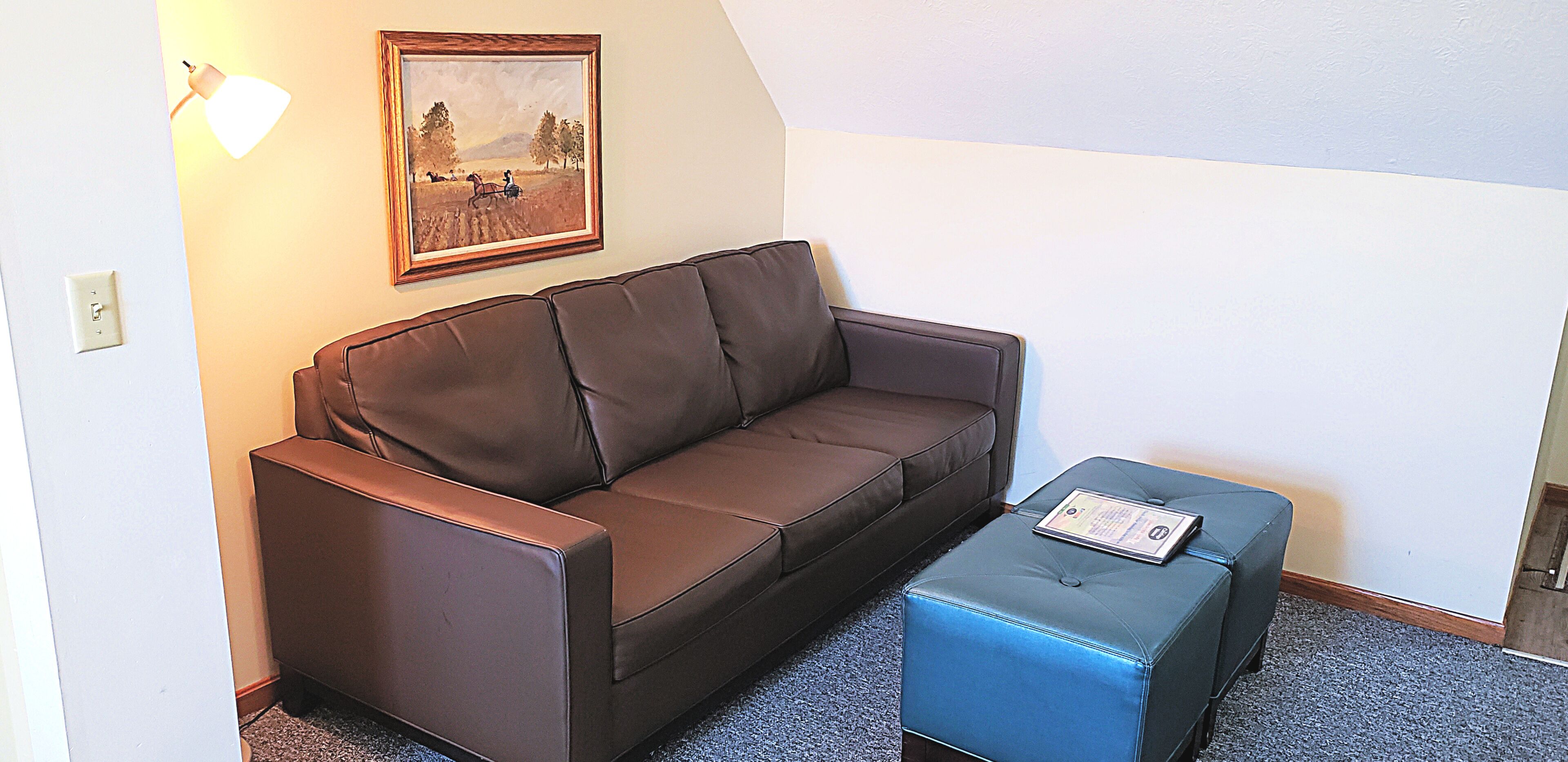 Un canapé en cuir marron, un pouf bleu et un tableau représentant un paysage, encadré, accroché au mur.