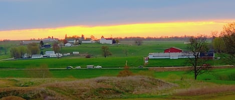 Uitzicht vanuit accommodatie