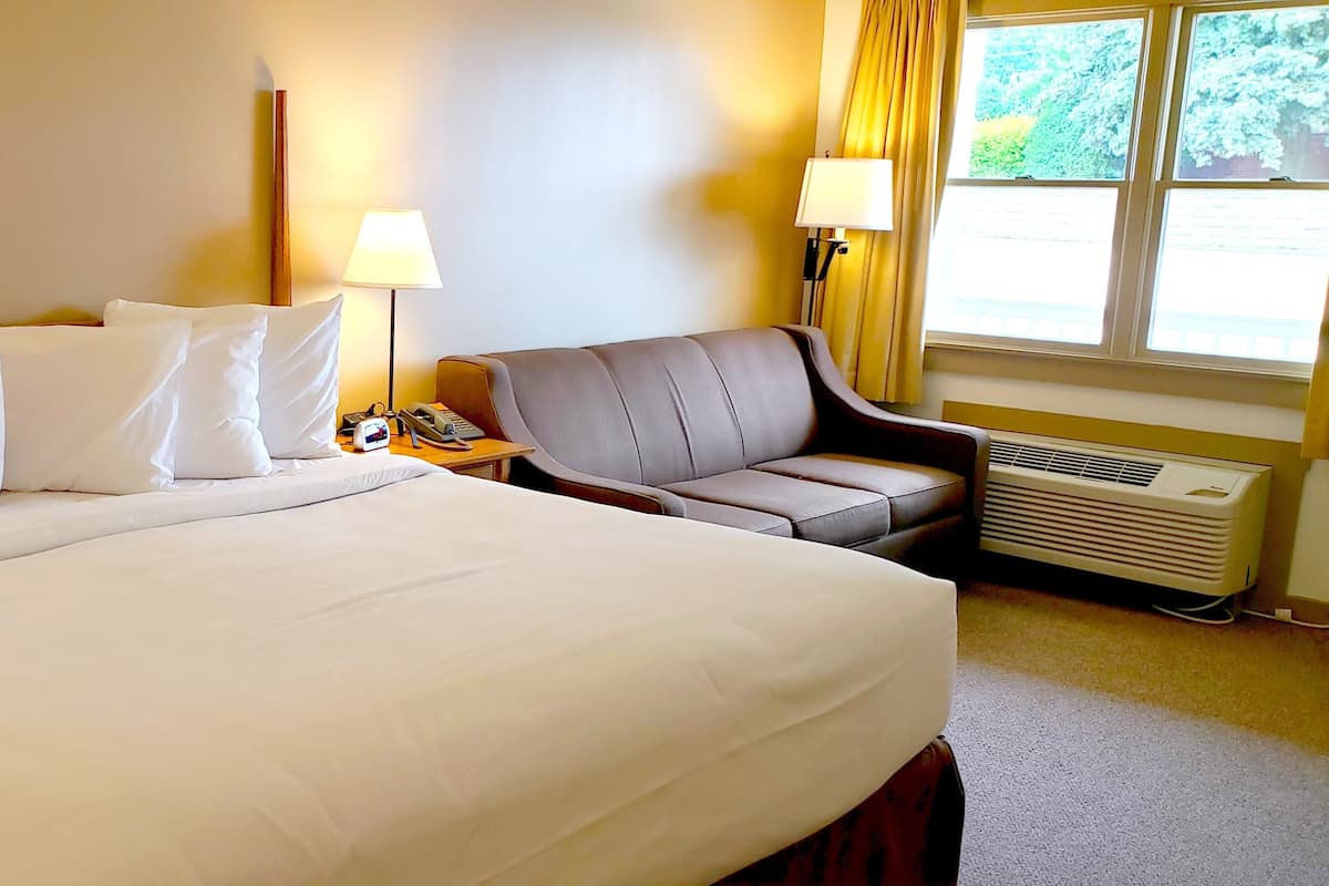 Premium Room, 1 King Bed, Non Smoking, Ground Floor