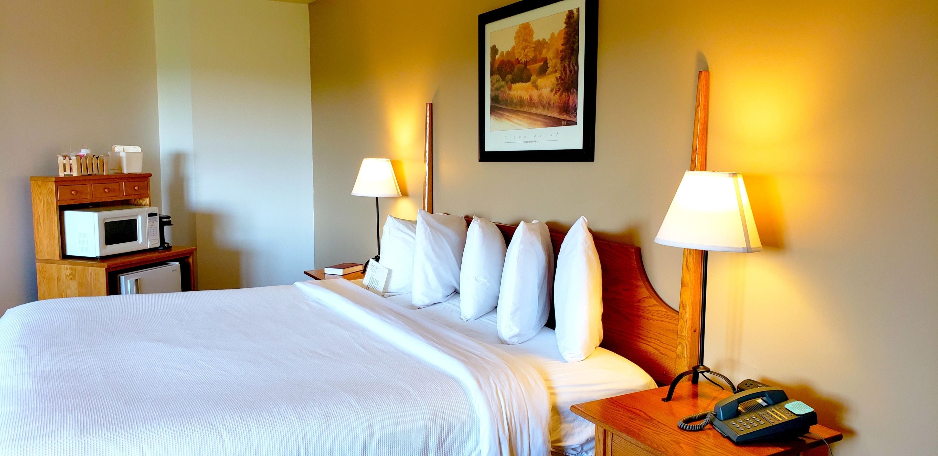 A hotel room with a large bed, two bedside lamps, a bedside phone, a microwave, and a small cabinet.
