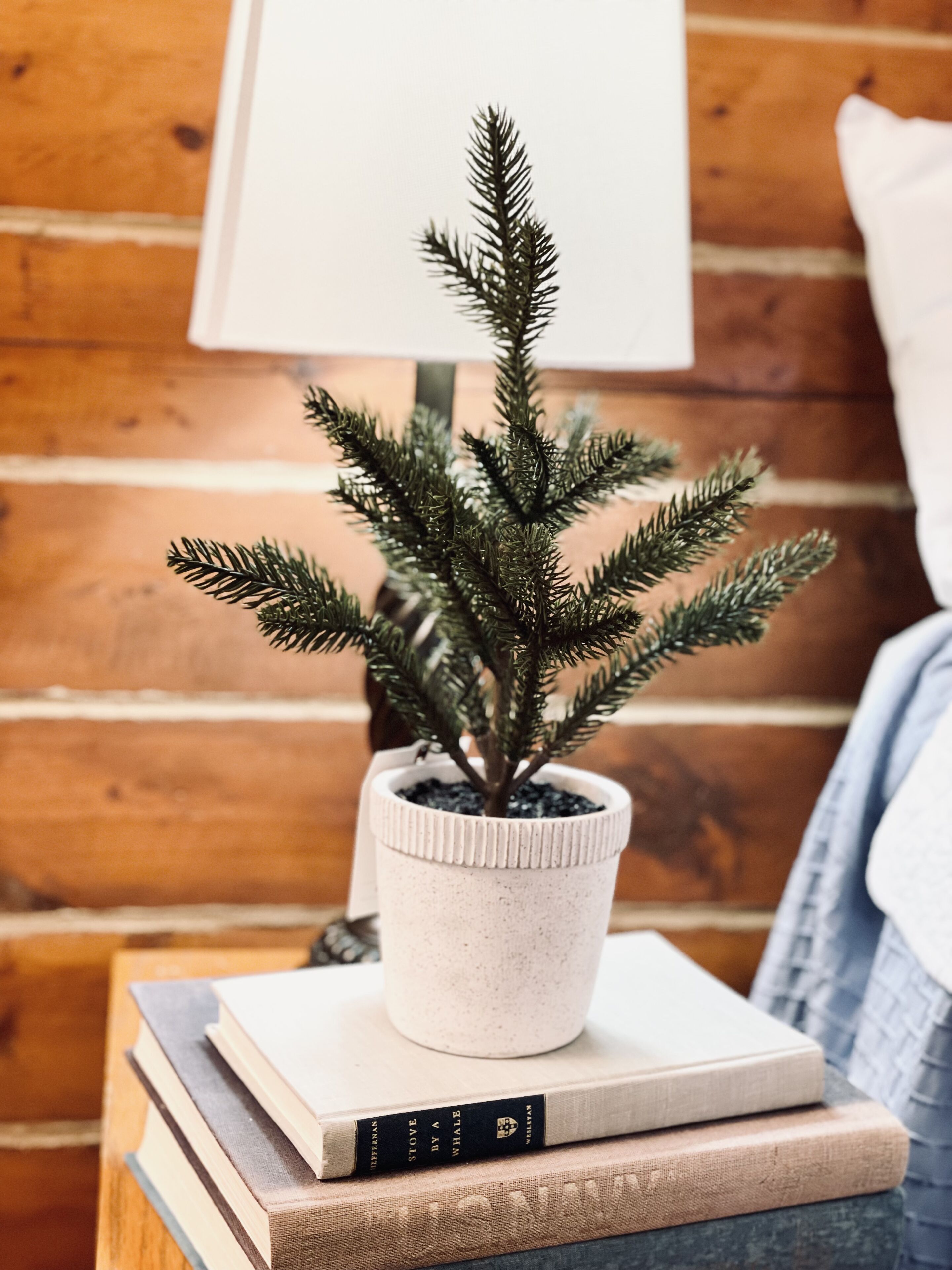 Una planta pequeña en maceta sobre una pila de libros, una lámpara y un muro de madera.
