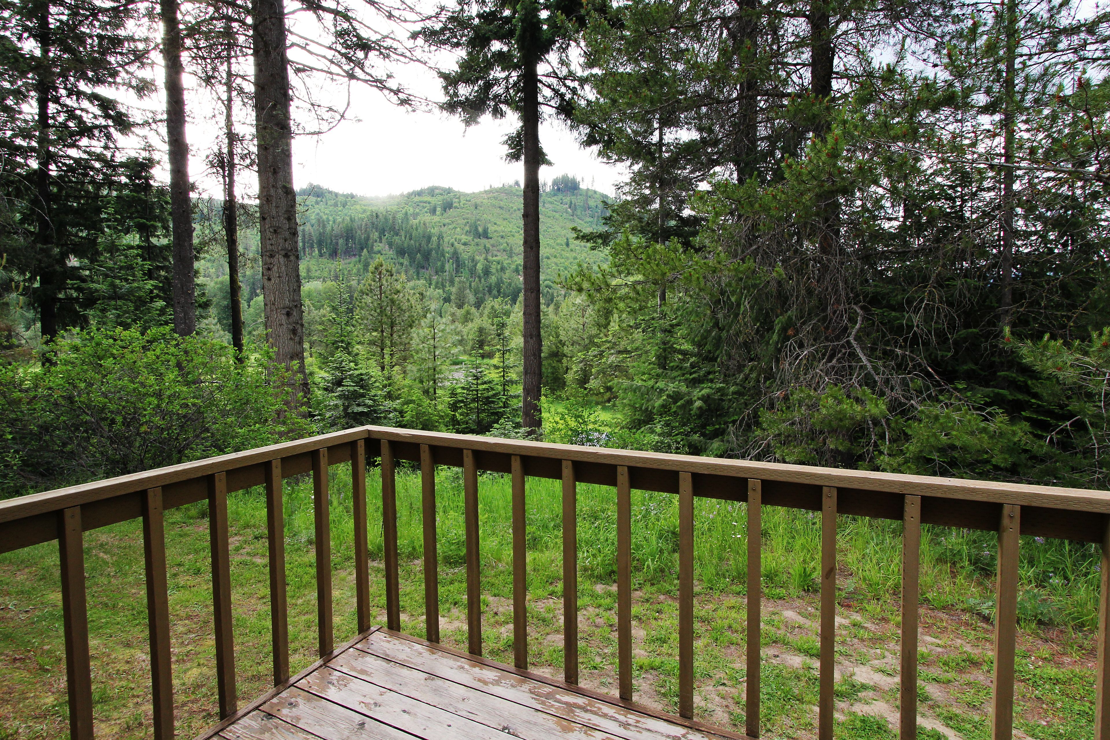 A wooden deck with a view of a forested hillside.