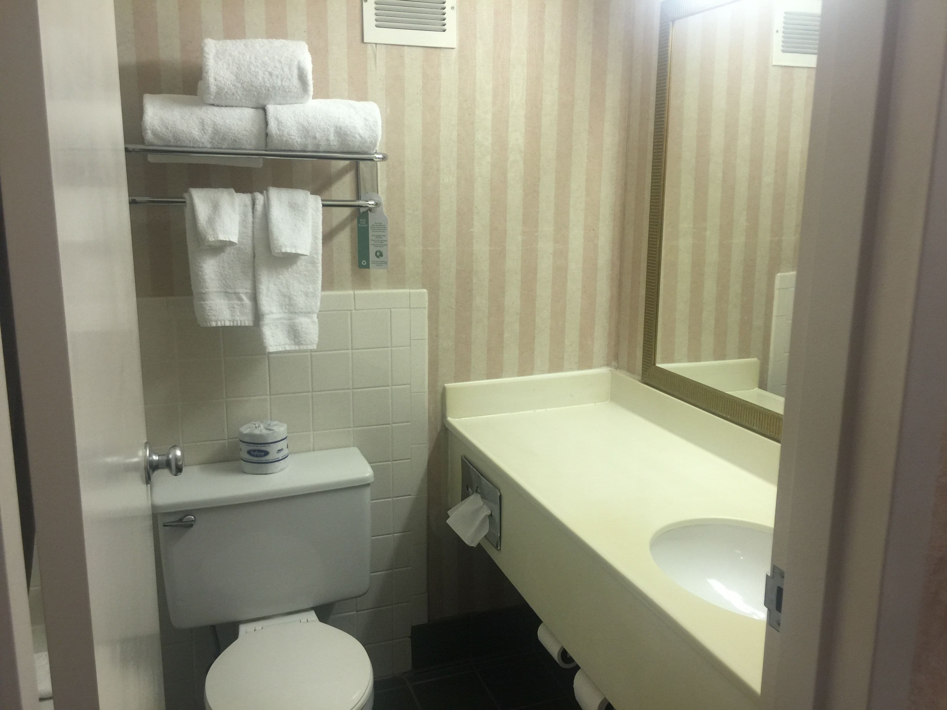 combined shower/bathtub, free toiletries, hair dryer, towels