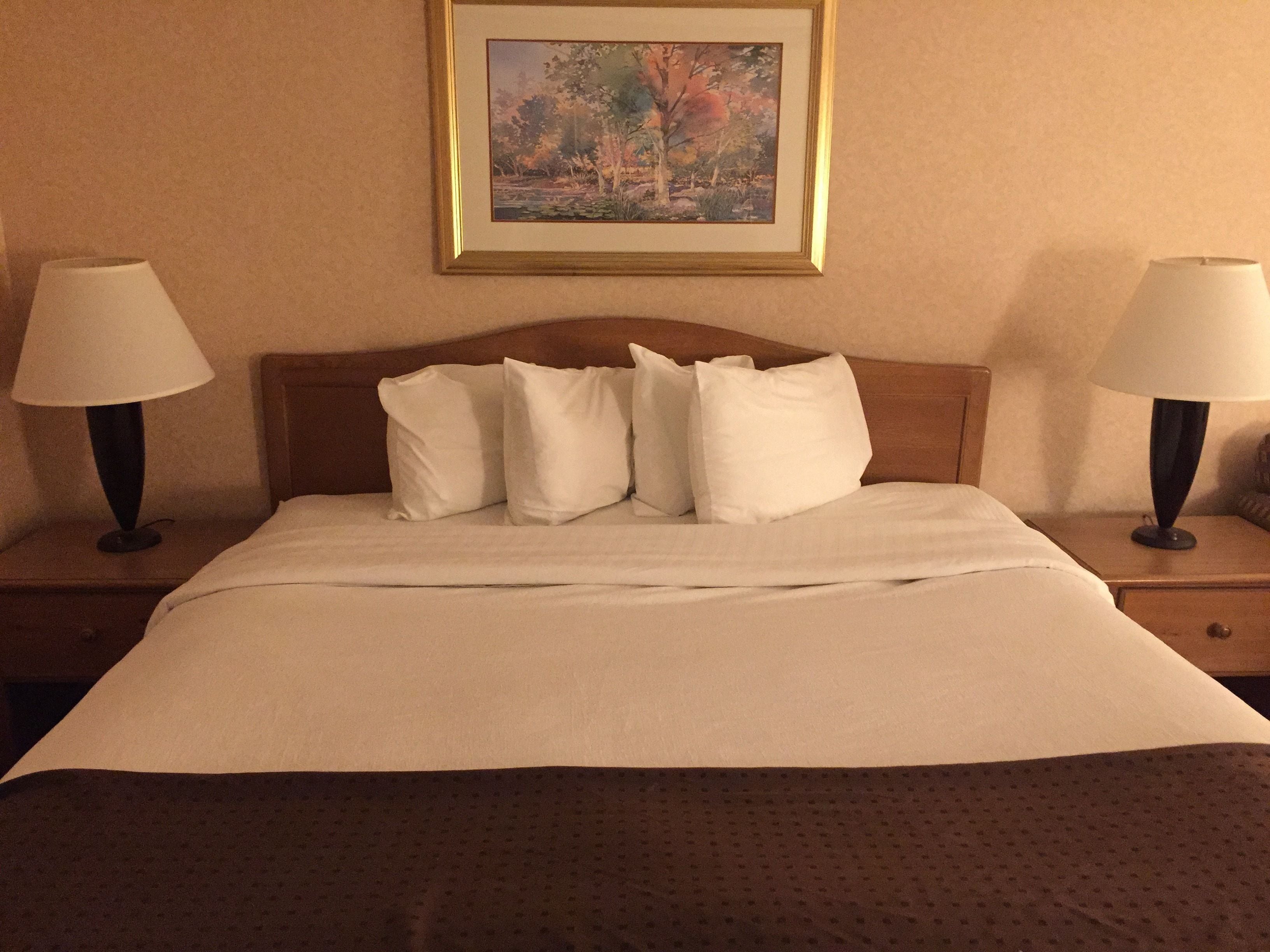 Deluxe Room, 1 King Bed, Non Smoking | Desk, laptop workspace, soundproofing, iron/ironing board