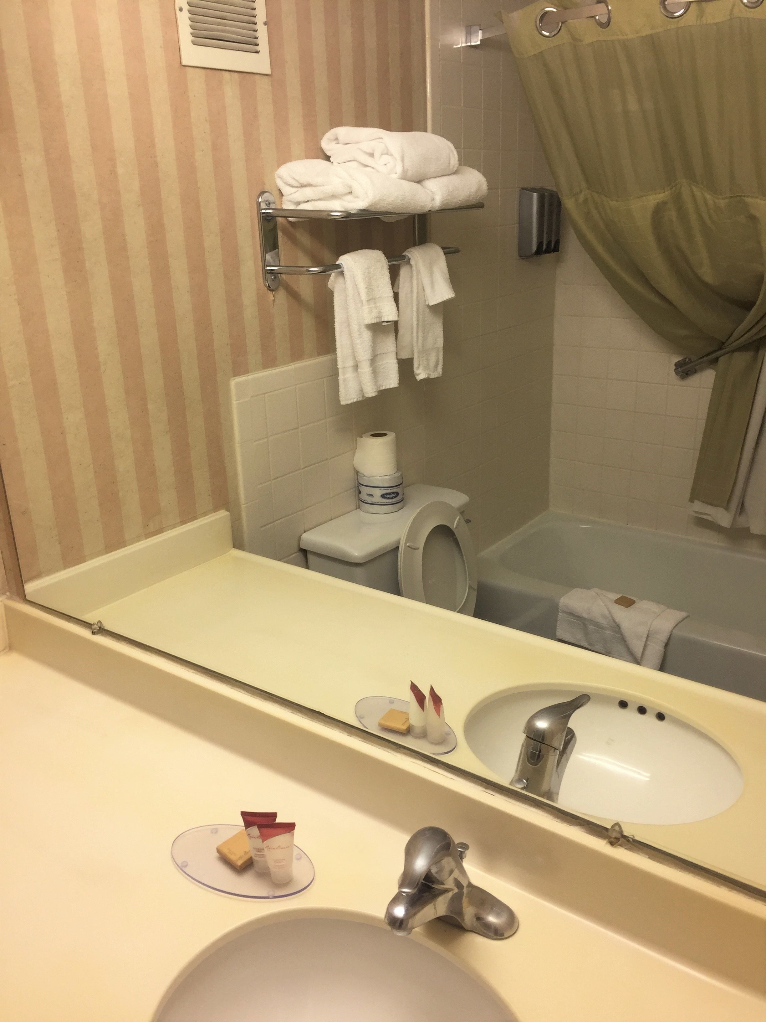 deluxe room, 1 king bed, non smoking | bathroom | combined shower/bathtub, free toiletries, hair dryer, towels