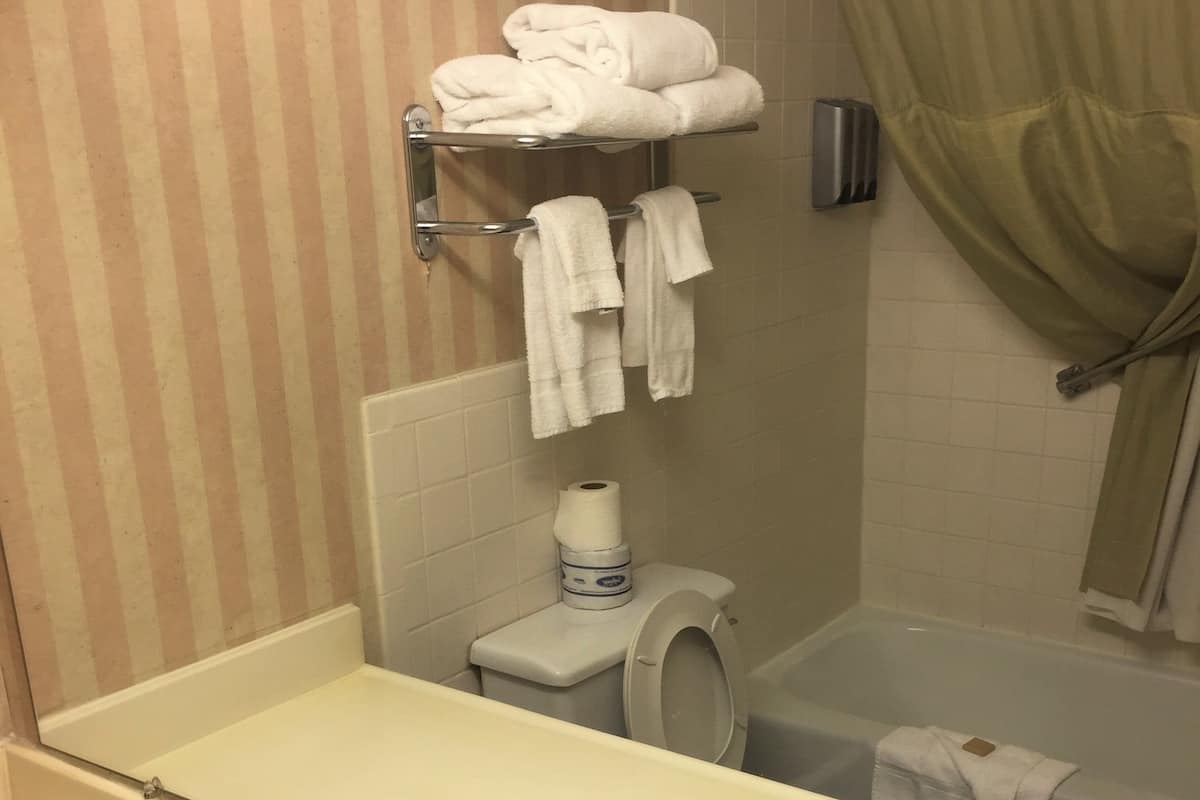 deluxe room, 1 king bed, non smoking | bathroom | combined shower/bathtub, free toiletries, hair dryer, towels