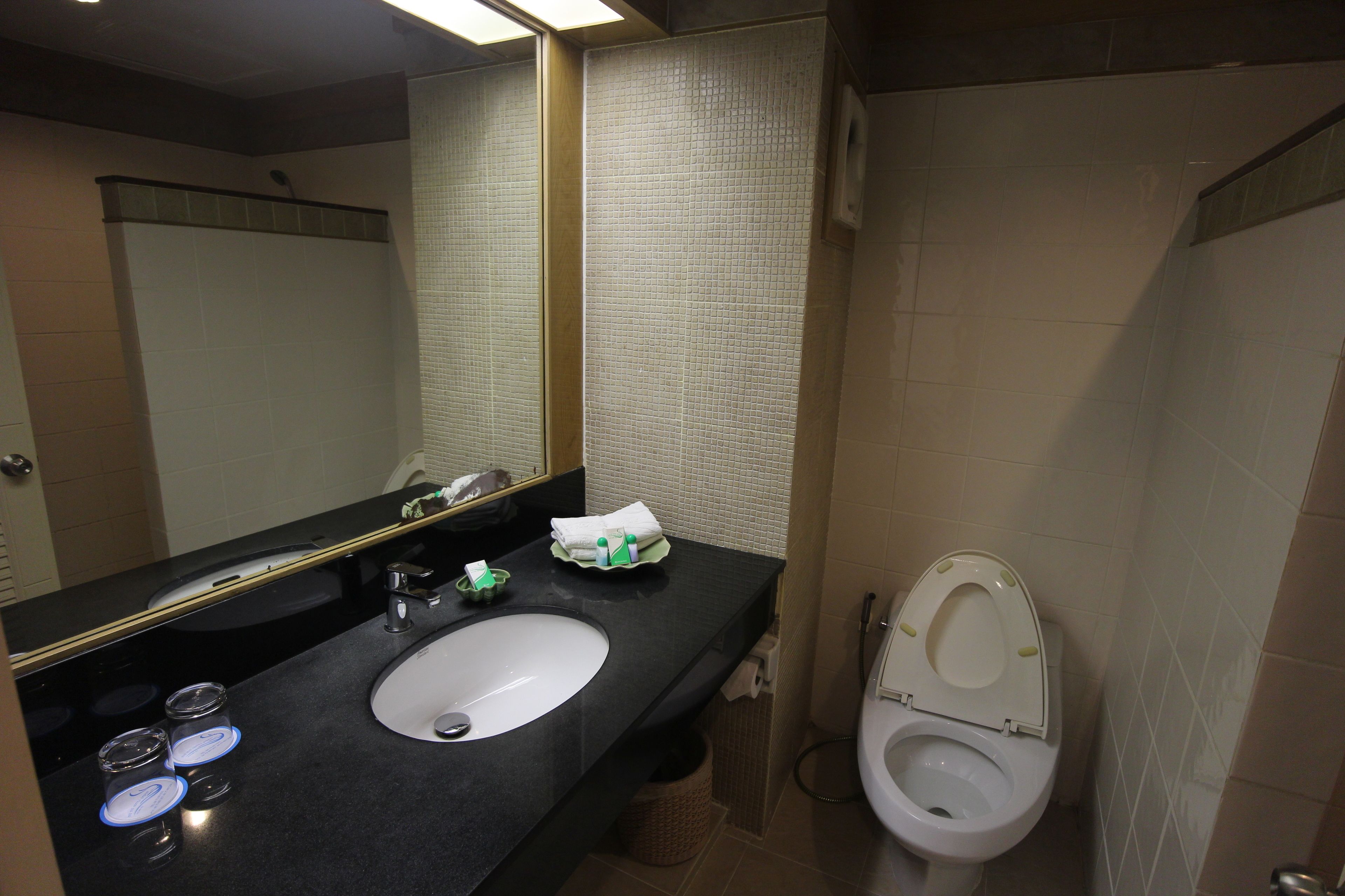 garden wing double | bathroom | shower, free toiletries, hair dryer, towels