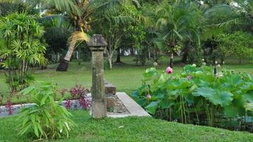 Jardines del alojamiento