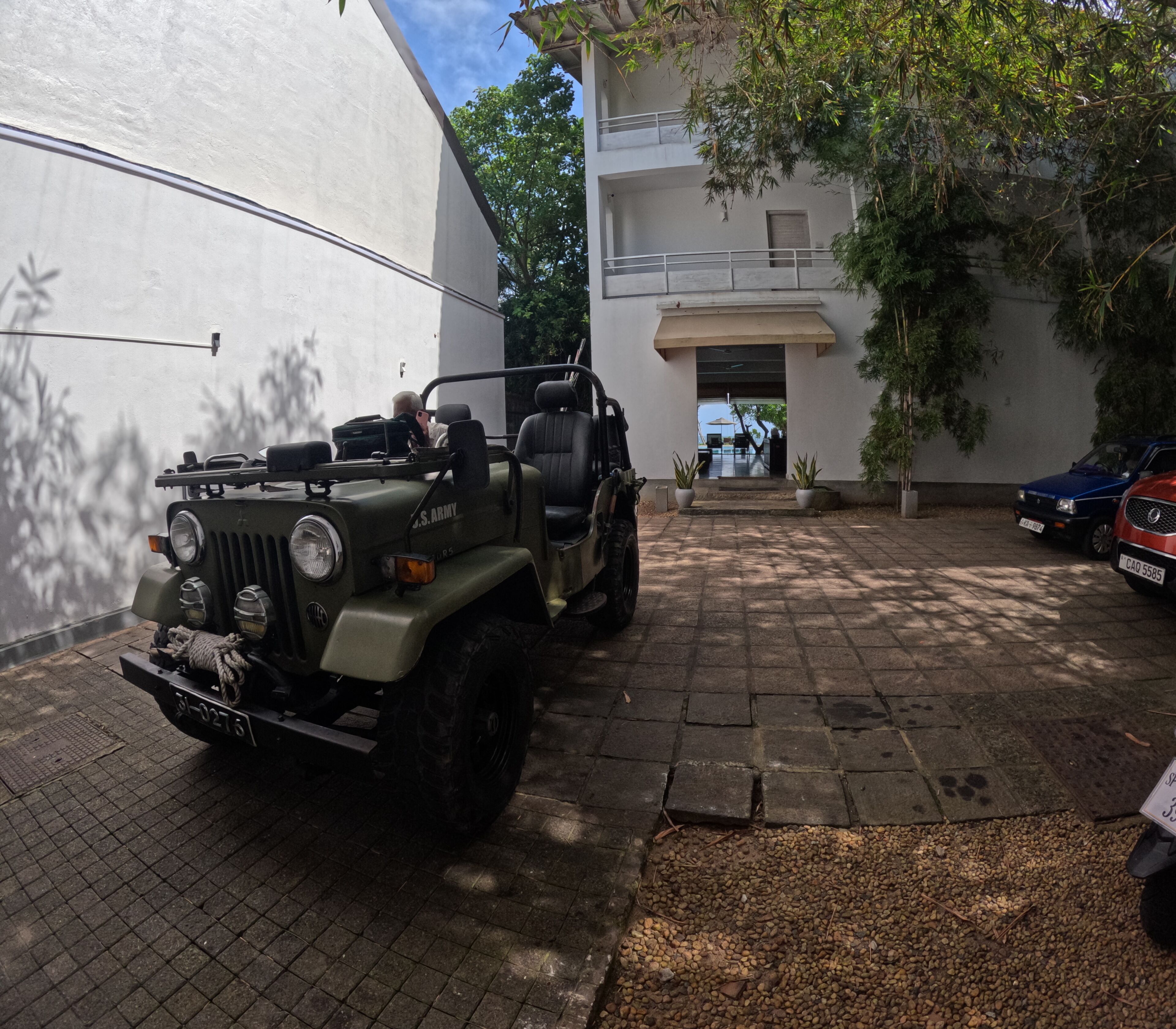 Safari