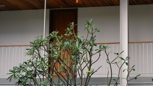 A multi-level building with wooden shutters on the upper floor, a balcony with a railing, and a plant in the foreground.