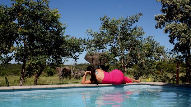 Eine Frau liegt am Pool, im Hintergrund ein Elefant.