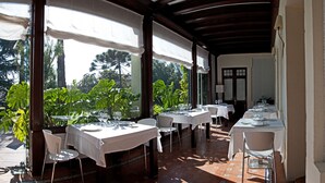 Un área de comedor al aire libre con mesas dispuestas para dos, cubierta por toldos blancos y rodeada de exuberante follaje.