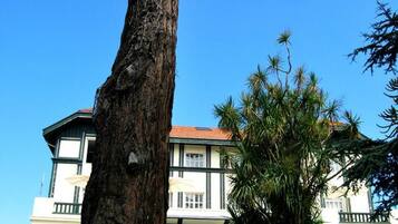 A tall, weathered tree trunk in a grassy area with a building in the background.